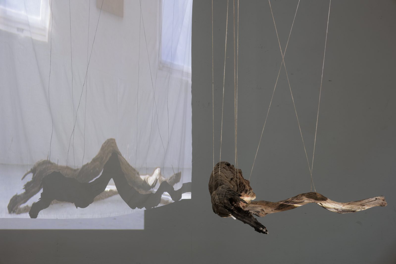 #Transition — Gestaltung & Raum